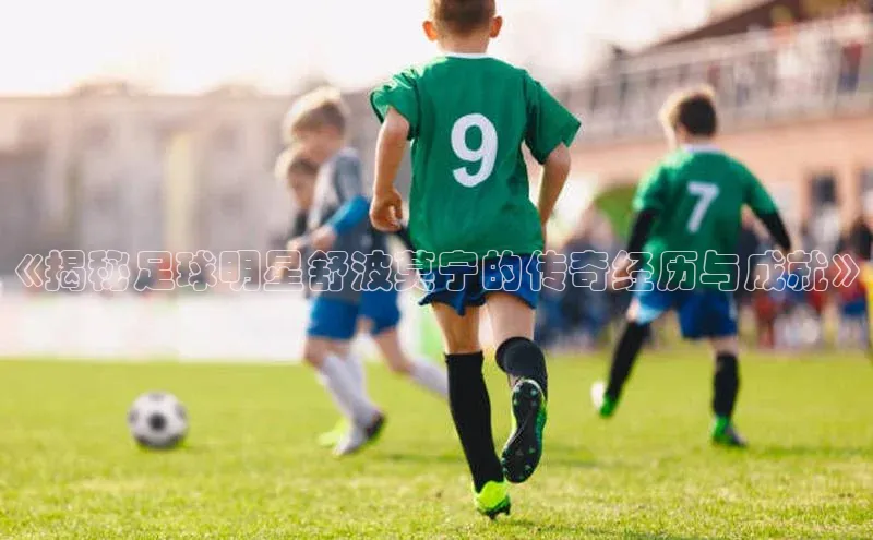 焦点注册入口小度商城《揭秘足球明星舒波莫宁的传奇经历与成就》