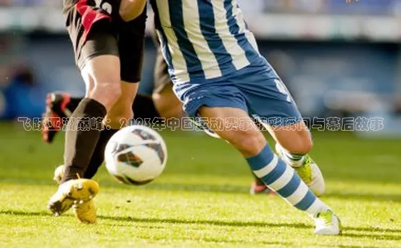 焦点登录平台登录入口