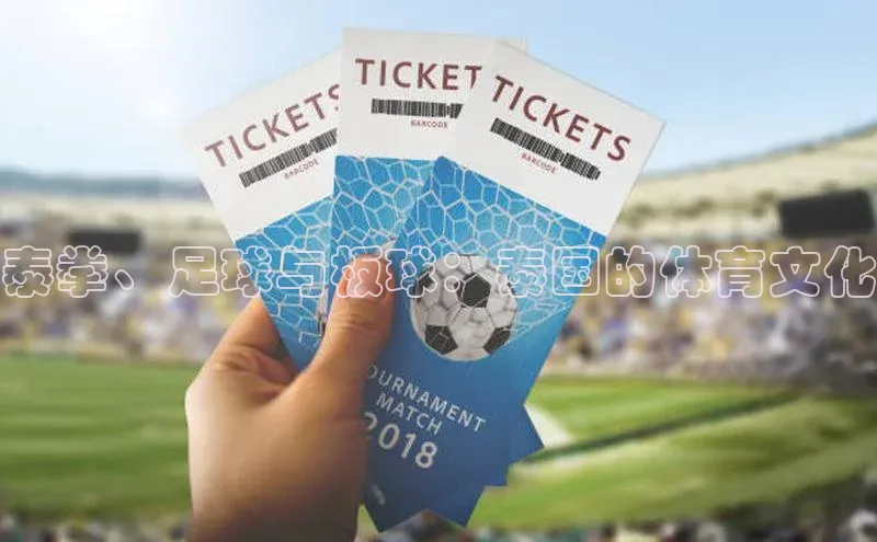 焦点娱乐代理平台