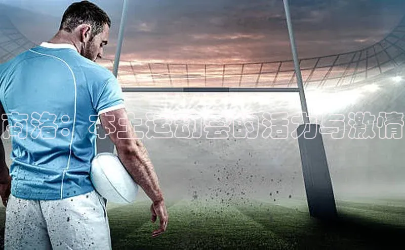 焦点登录地址入口