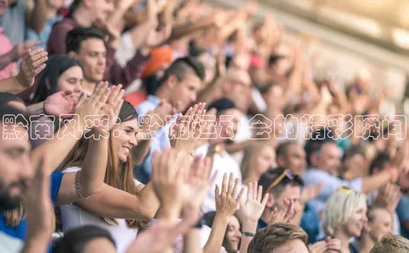 焦点娱乐入口登录网址