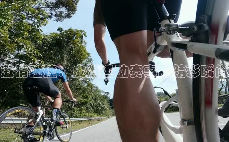 焦点娱乐入口登录网址