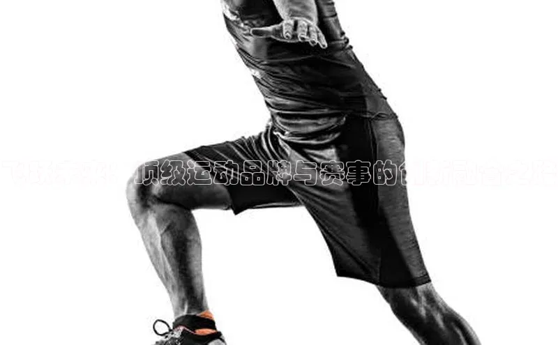 焦点登录地址入口