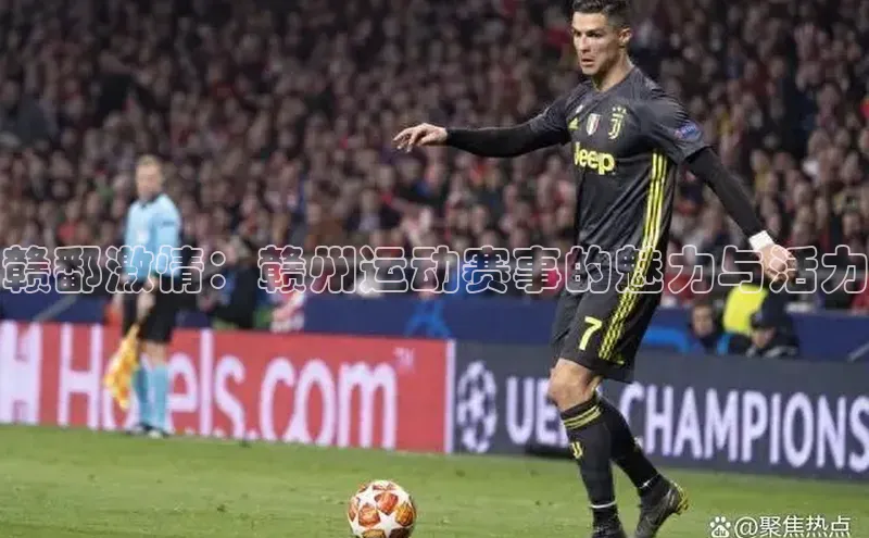 焦点登录地址入口