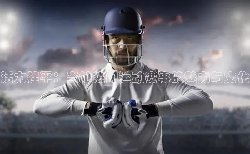 焦点中文app登录入口