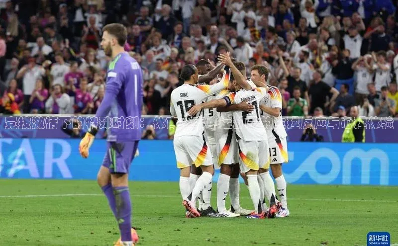 焦点娱乐入口登录网址