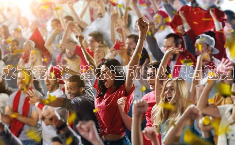 焦点娱乐代理平台