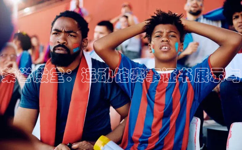 焦点平台的注册与登录地址